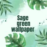 Logo of Sage green wallpaper android Application 