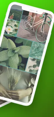 Sage green wallpaper android App screenshot 4